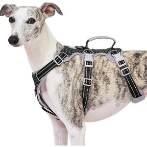 Huntboo Adjustable Dog Harness - Black and Gray